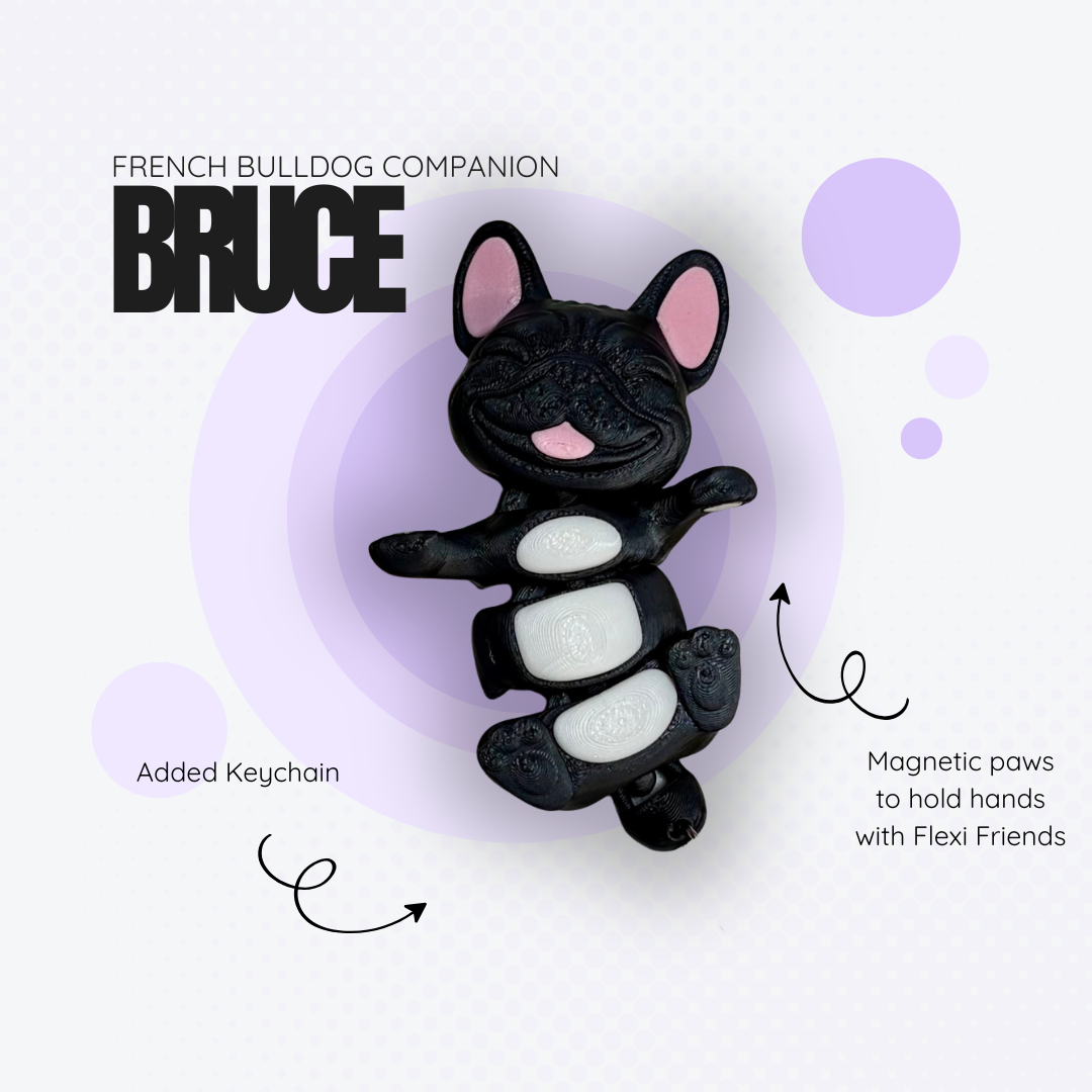 Bruce the Black French Bulldog Companion
