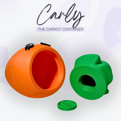 Carly the Carrot Container