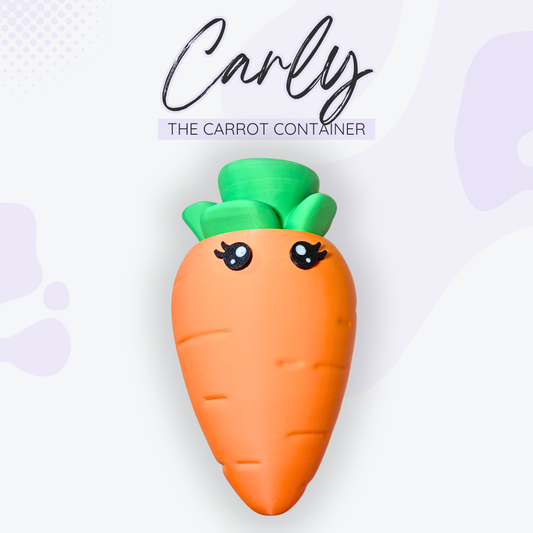Carly the Carrot Container