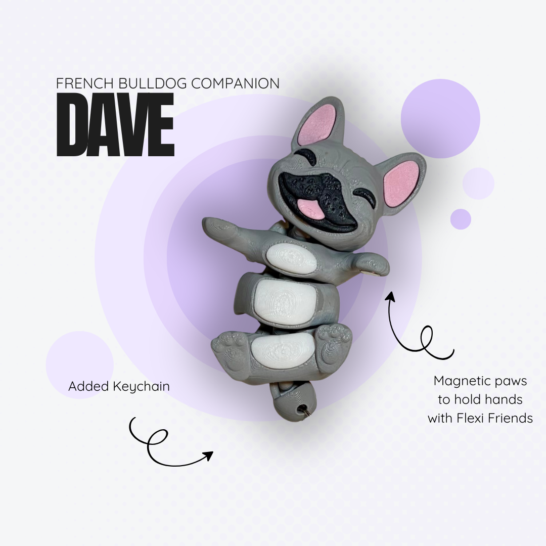 Dave the Grey French Bulldog Companion