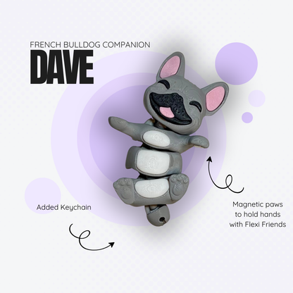 Dave the Grey French Bulldog Companion