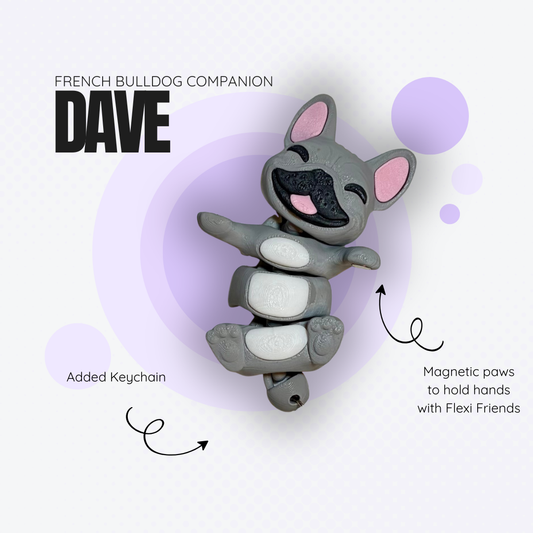 Dave the Grey French Bulldog Companion