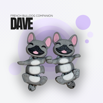 Dave the Grey French Bulldog Companion