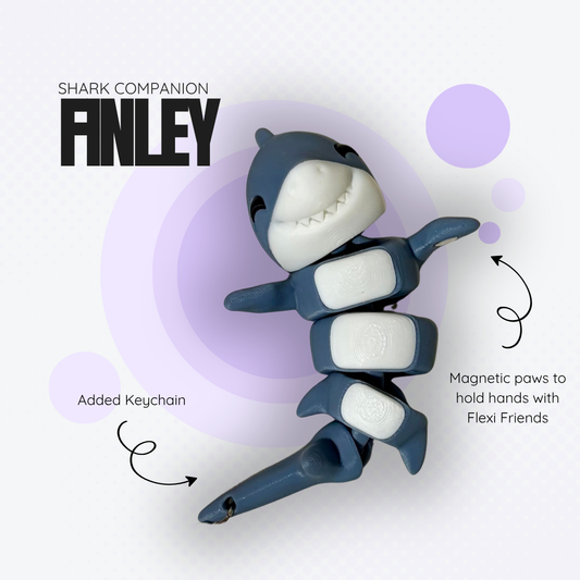 Finley the Shark Magnetic Companion
