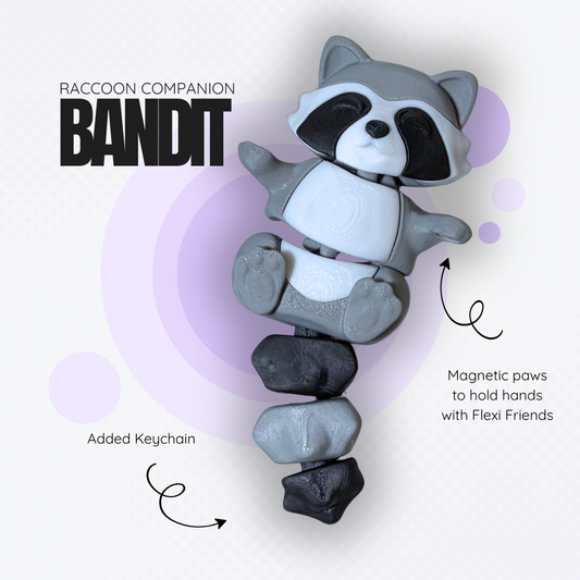 Bandit the Raccoon Companion