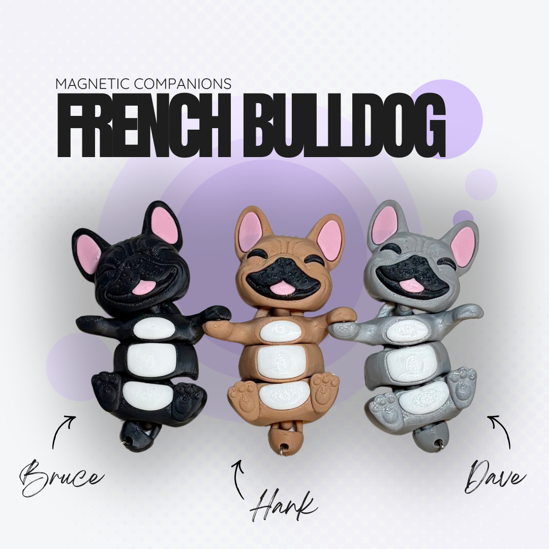 Hank the Brown French Bulldog Companion