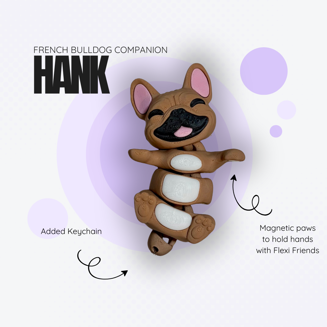 Hank the Brown French Bulldog Companion