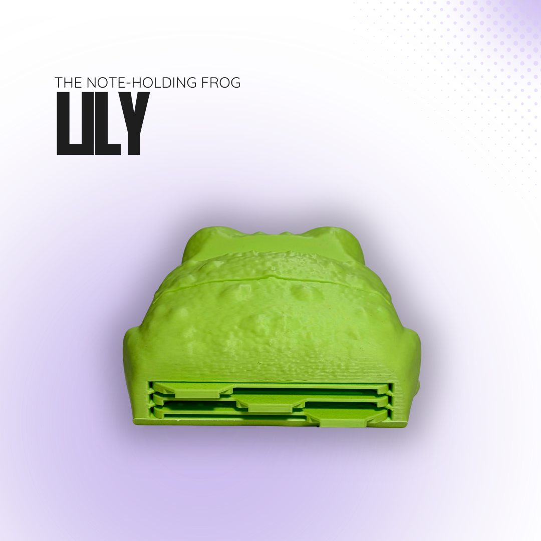 Lily the Note‑Holding Green Frog