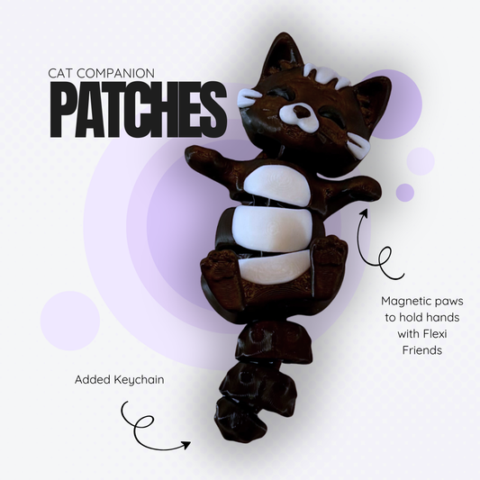 Patches the Black Cat Companion