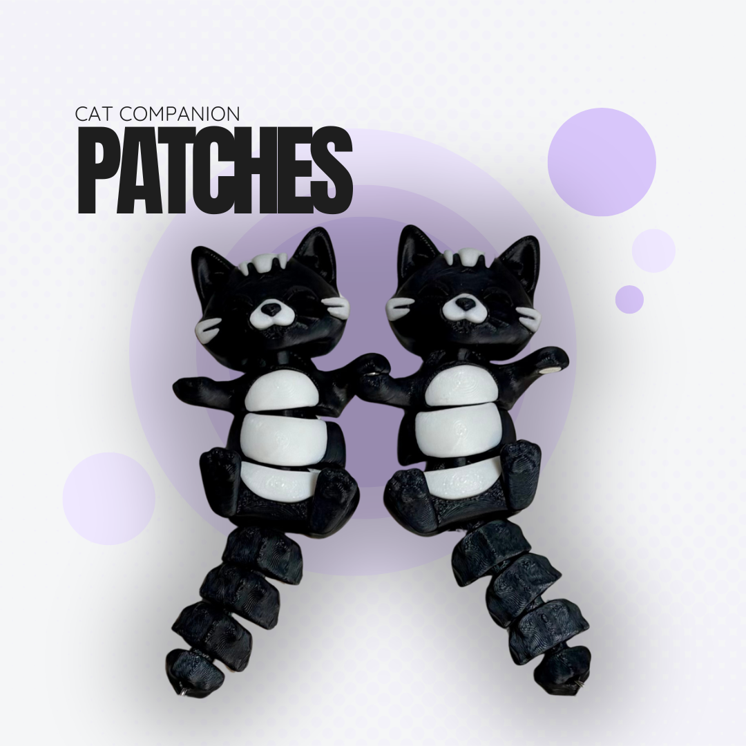 Patches the Black Cat Companion