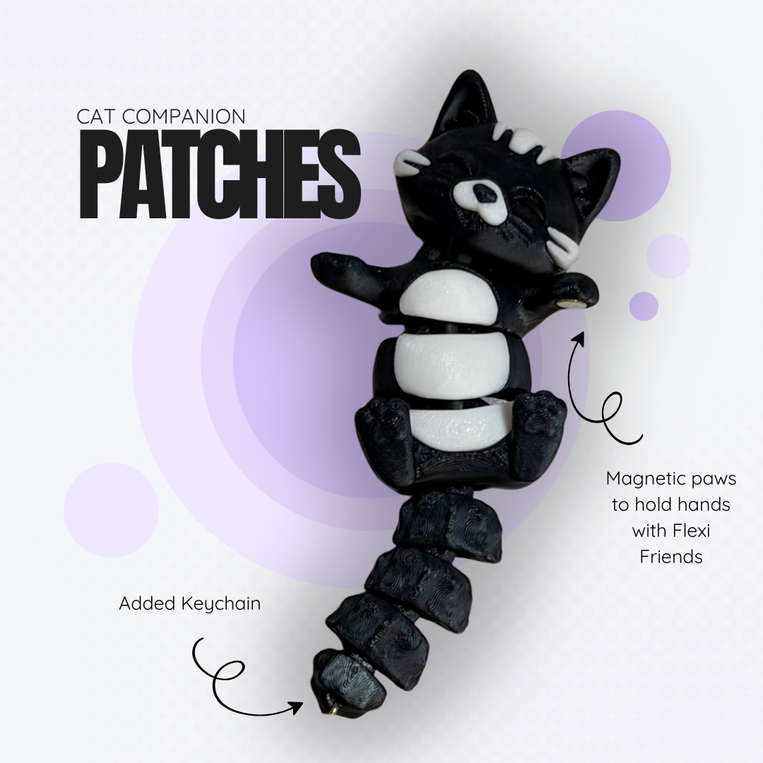 Patches the Black Cat Companion