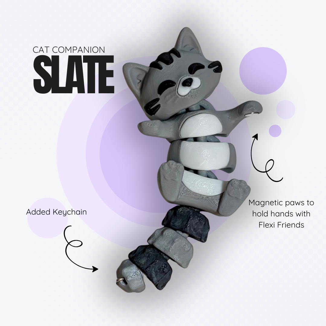 Slate the Grey Cat Companion