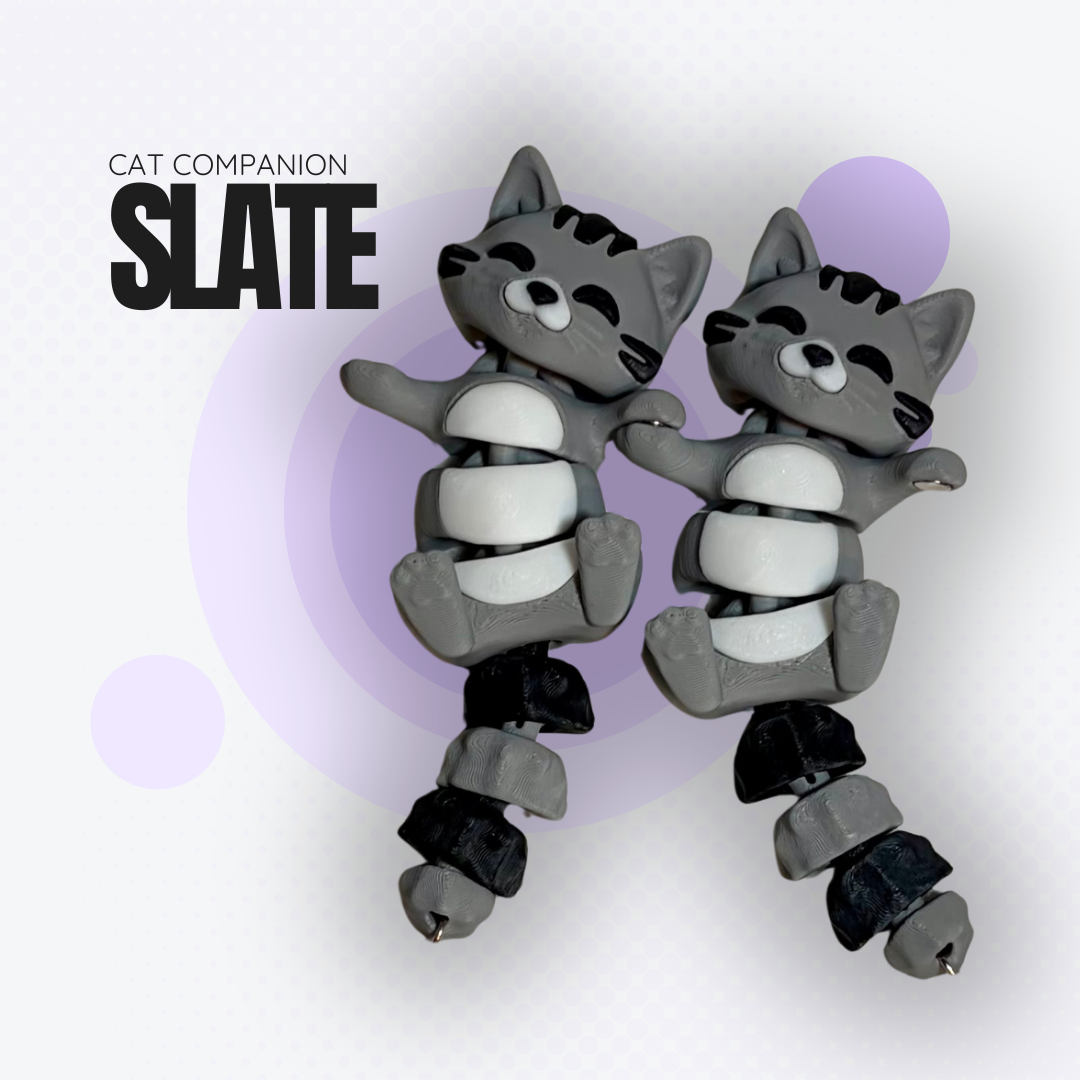 Slate the Grey Cat Companion