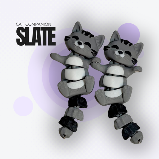 Slate the Grey Cat Companion