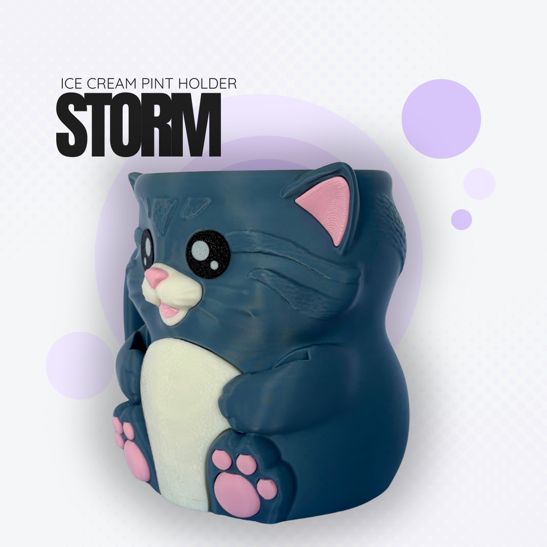 Storm the Dark Grey Cat Ice Cream Pint Holder
